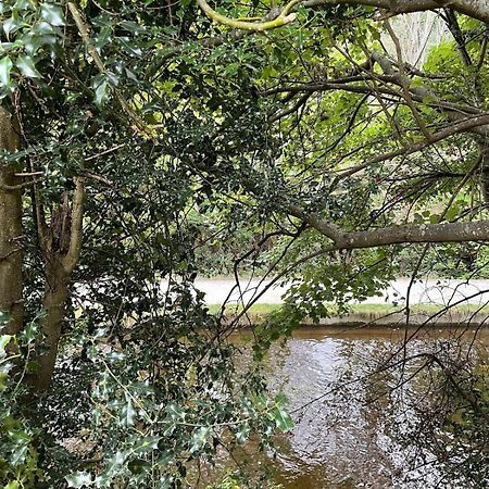 Dee Lodge With Private Hot Tub Llangollen Bagian luar foto